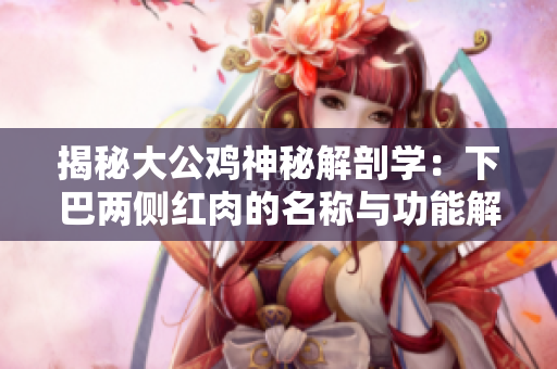 揭秘大公雞神秘解剖學：下巴兩側(cè)紅肉的名稱與功能解密
