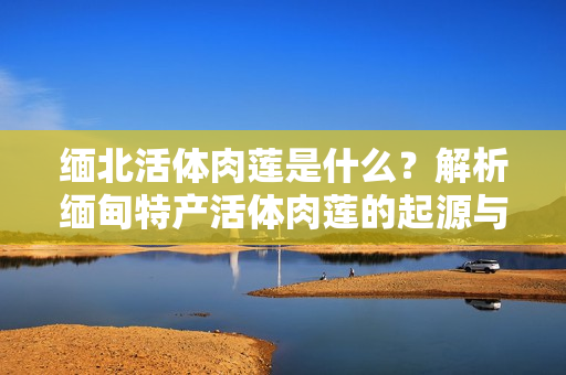 緬北活體肉蓮是什么？解析緬甸特產(chǎn)活體肉蓮的起源與特點(diǎn)