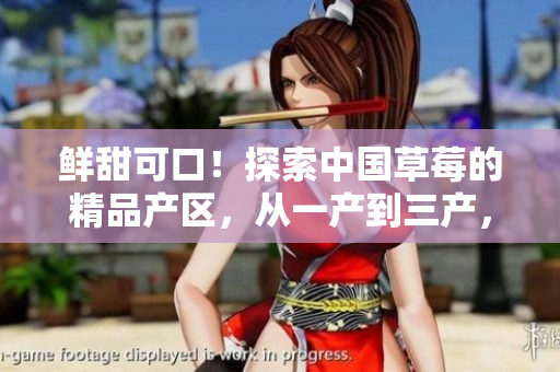 鮮甜可口！探索中國草莓的精品產(chǎn)區(qū)，從一產(chǎn)到三產(chǎn)，品味不同風味