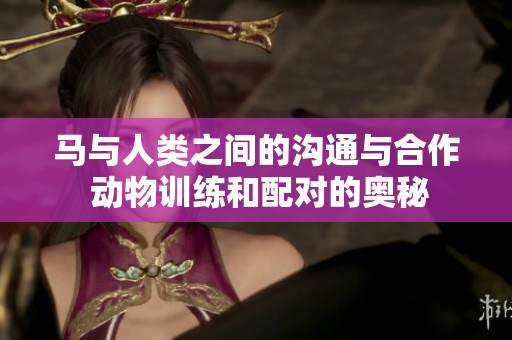 馬與人類之間的溝通與合作 動(dòng)物訓(xùn)練和配對(duì)的奧秘