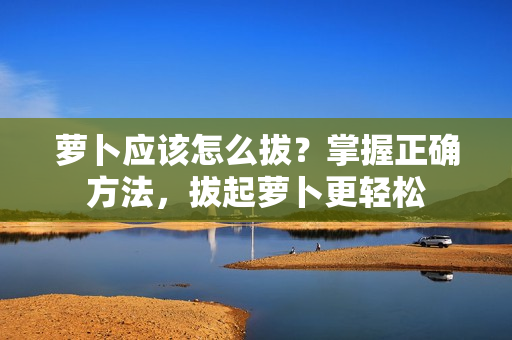 蘿卜應(yīng)該怎么拔?掌握正確方法,拔起蘿卜更輕松 蘿卜應(yīng)該怎么拔?掌握正確方法,拔起蘿卜更輕松