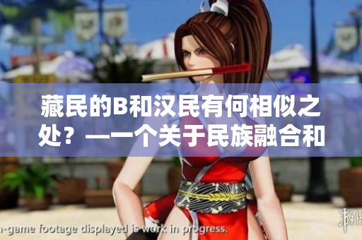 藏民的B和漢民有何相似之處？—一個關(guān)于民族融合和多元文化的探索