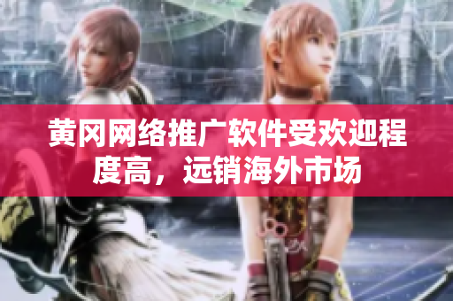 黃岡網(wǎng)絡(luò)推廣軟件受歡迎程度高，遠(yuǎn)銷海外市場