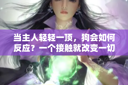當(dāng)主人輕輕一頂，狗會如何反應(yīng)？一個接觸就改變一切的親密時刻。