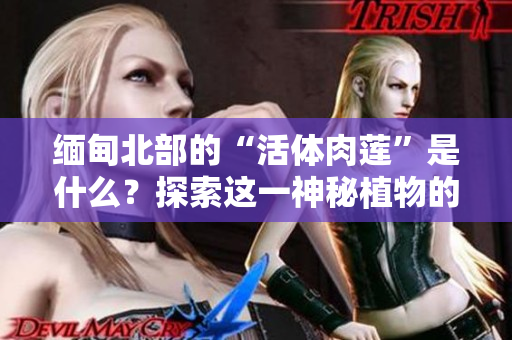 緬甸北部的“活體肉蓮”是什么？探索這一神秘植物的奧秘