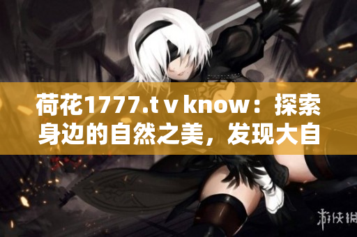 荷花1777.tⅴknow:探索身邊的自然之美,發(fā)現(xiàn)大自然的奧秘 荷花1777.tⅴknow:探索身邊的自然之美,發(fā)現(xiàn)大自然的奧秘