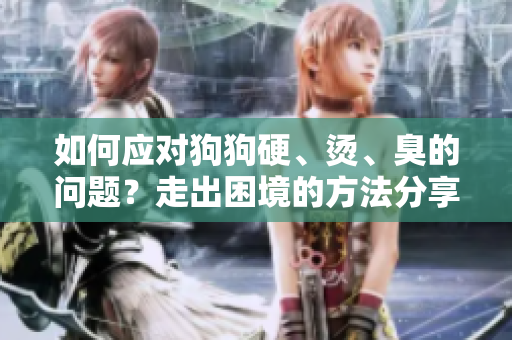 如何應(yīng)對狗狗硬、燙、臭的問題？走出困境的方法分享