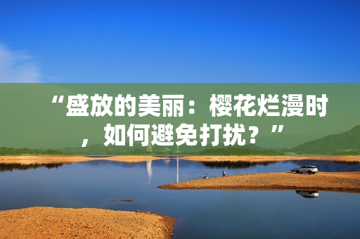 “盛放的美麗：櫻花爛漫時(shí)，如何避免打擾？”