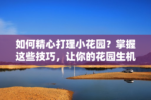如何精心打理小花園？掌握這些技巧，讓你的花園生機勃勃