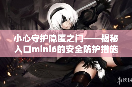 小心守護隱匿之門——揭秘入口mini6的安全防護措施