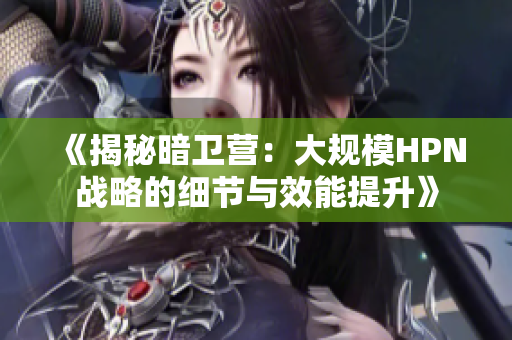 《揭秘暗衛(wèi)營：大規(guī)模HPN戰(zhàn)略的細(xì)節(jié)與效能提升》