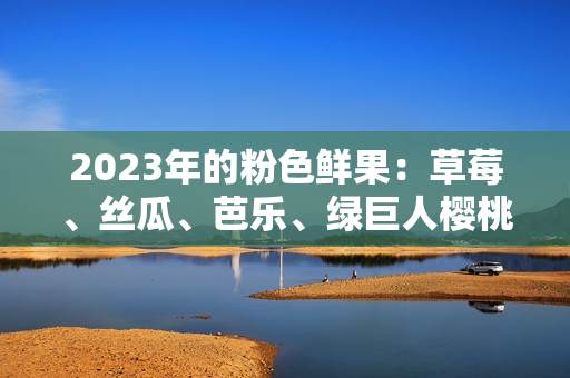 2023年的粉色鮮果：草莓、絲瓜、芭樂(lè)、綠巨人櫻桃與秋葵