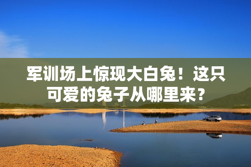 軍訓(xùn)場(chǎng)上驚現(xiàn)大白兔！這只可愛(ài)的兔子從哪里來(lái)？