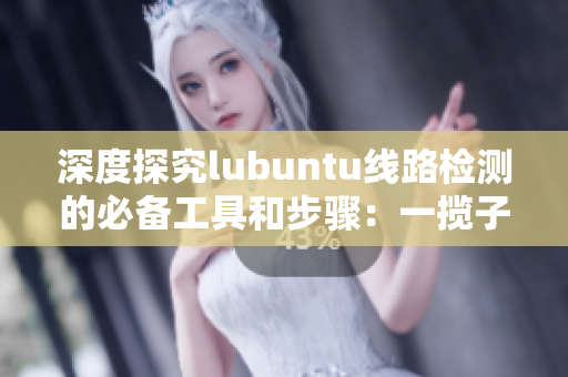 深度探究lubuntu線路檢測(cè)的必備工具和步驟：一攬子解讀