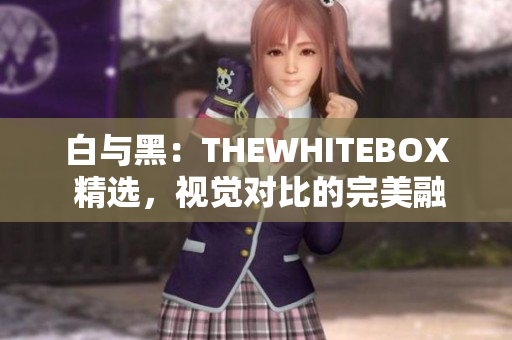 白與黑：THEWHITEBOX 精選，視覺對(duì)比的完美融合