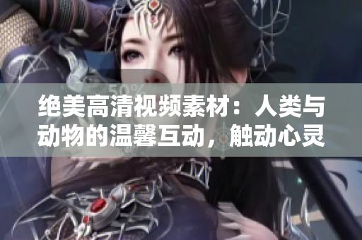 絕美高清視頻素材：人類與動(dòng)物的溫馨互動(dòng)，觸動(dòng)心靈，溫暖人心