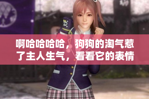 啊哈哈哈哈，狗狗的淘氣惹了主人生氣，看看它的表情吧