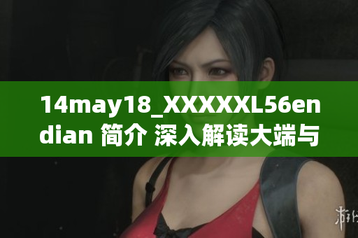 14may18_XXXXXL56endian 簡(jiǎn)介 深入解讀大端與小端技術(shù)