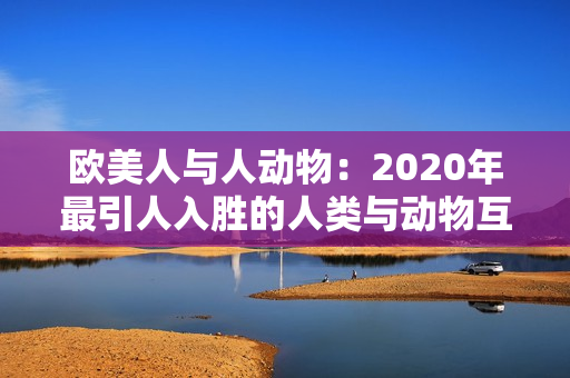 歐美人與人動(dòng)物：2020年最引人入勝的人類與動(dòng)物互動(dòng)大揭秘