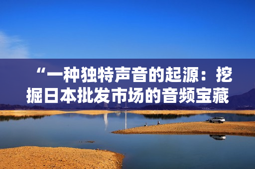 “一種獨(dú)特聲音的起源：挖掘日本批發(fā)市場(chǎng)的音頻寶藏”