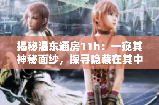揭秘溫東通房11h：一窺其神秘面紗，探尋隱藏在其中的故事