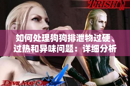 如何處理狗狗排泄物過硬、過熱和異味問題：詳細分析及解決方案