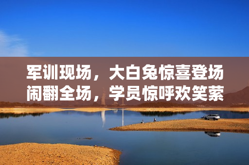 軍訓(xùn)現(xiàn)場(chǎng)，大白兔驚喜登場(chǎng)鬧翻全場(chǎng)，學(xué)員驚呼歡笑縈繞