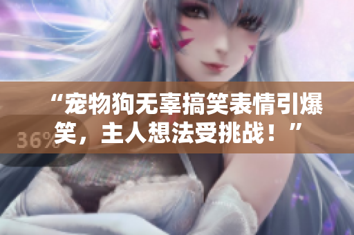 “寵物狗無(wú)辜搞笑表情引爆笑，主人想法受挑戰(zhàn)！”