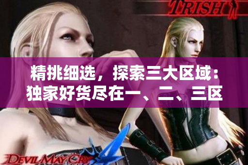 精挑細選，探索三大區(qū)域：獨家好貨盡在一、二、三區(qū)