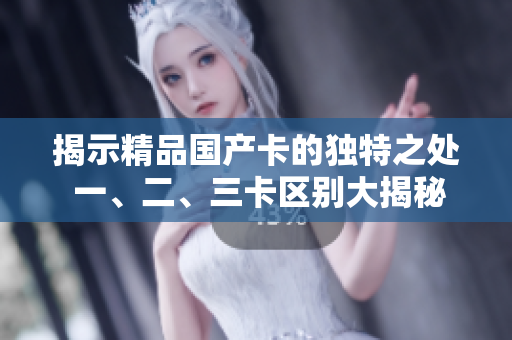 揭示精品國產(chǎn)卡的獨特之處 一、二、三卡區(qū)別大揭秘