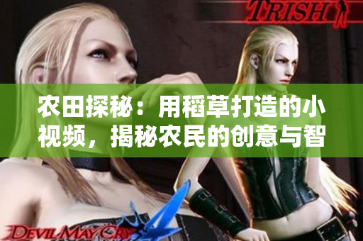 農(nóng)田探秘：用稻草打造的小視頻，揭秘農(nóng)民的創(chuàng)意與智慧