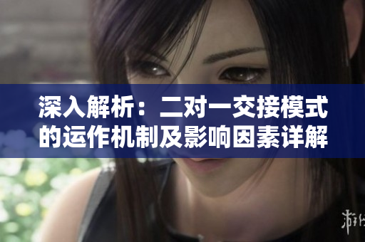 深入解析:二對(duì)一交接模式的運(yùn)作機(jī)制及影響因素詳解 深入解析:二對(duì)一交接模式的運(yùn)作機(jī)制及影響因素詳解