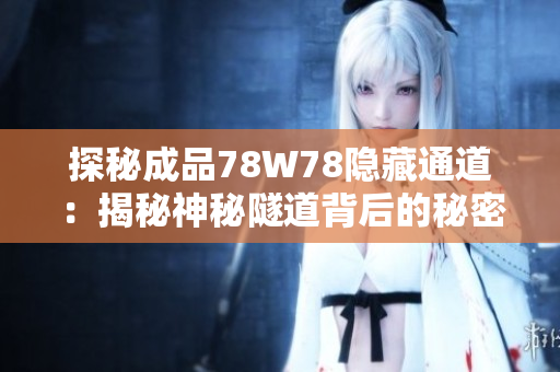 探秘成品78W78隱藏通道：揭秘神秘隧道背后的秘密