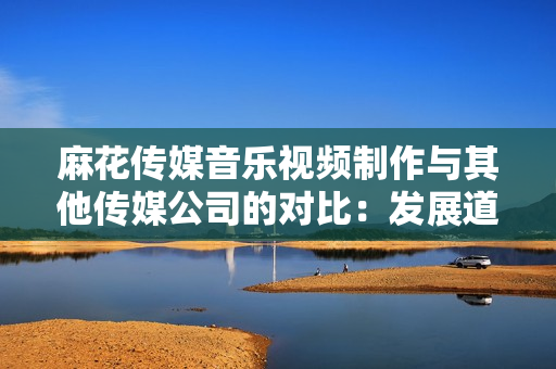 麻花傳媒音樂視頻制作與其他傳媒公司的對比：發(fā)展道路、創(chuàng)意成果、行業(yè)地位等