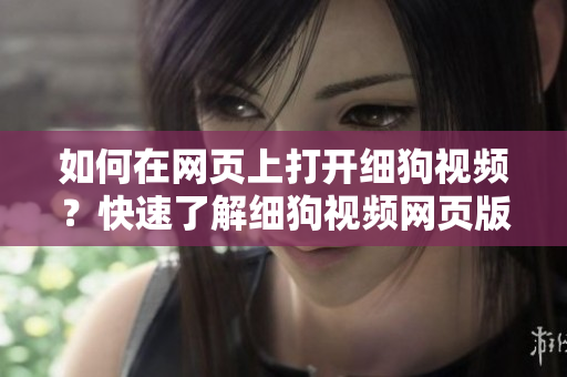 如何在網(wǎng)頁上打開細(xì)狗視頻？快速了解細(xì)狗視頻網(wǎng)頁版的訪問方法