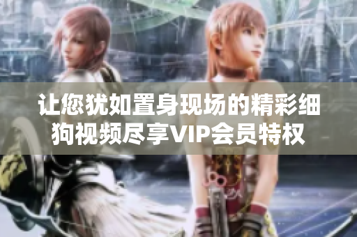 讓您猶如置身現(xiàn)場的精彩細(xì)狗視頻盡享VIP會員特權(quán)