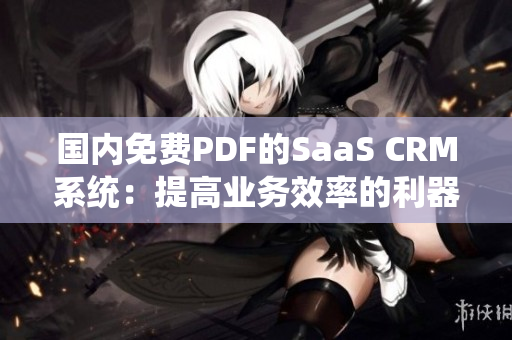國內(nèi)免費PDF的SaaS CRM系統(tǒng)：提高業(yè)務(wù)效率的利器