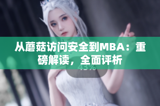 從蘑菇訪問安全到MBA：重磅解讀，全面評析
