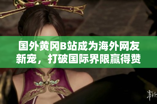 國外黃岡B站成為海外網友新寵，打破國際界限贏得贊譽