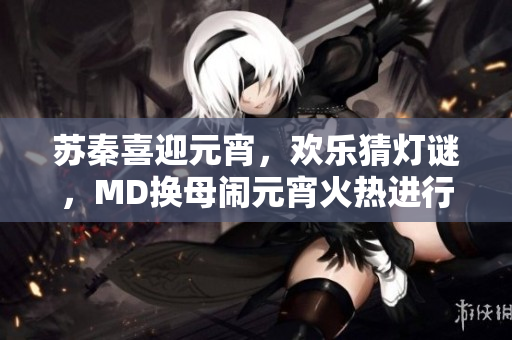 蘇秦喜迎元宵，歡樂猜燈謎，MD換母鬧元宵火熱進(jìn)行