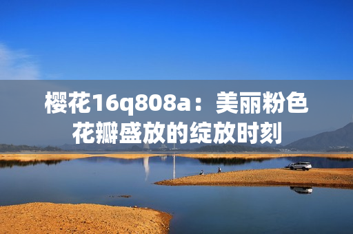 櫻花16q808a：美麗粉色花瓣盛放的綻放時(shí)刻