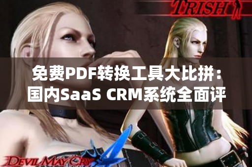 免費PDF轉(zhuǎn)換工具大比拼：國內(nèi)SaaS CRM系統(tǒng)全面評測及推薦