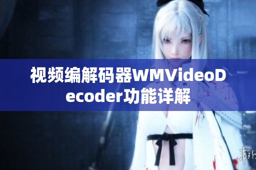視頻編解碼器WMVideoDecoder功能詳解