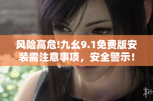 風(fēng)險(xiǎn)高危!九幺9.1免費(fèi)版安裝需注意事項(xiàng)，安全警示！