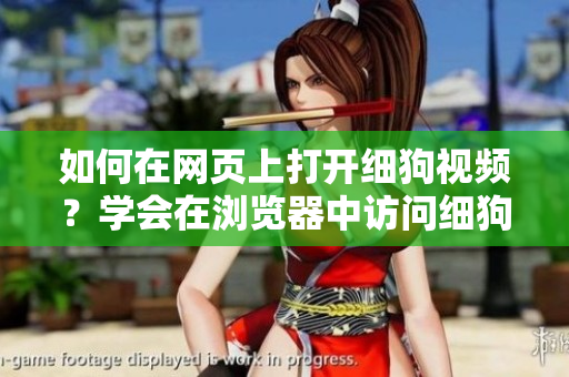 如何在網(wǎng)頁(yè)上打開(kāi)細(xì)狗視頻？學(xué)會(huì)在瀏覽器中訪問(wèn)細(xì)狗視頻網(wǎng)頁(yè)版的步驟