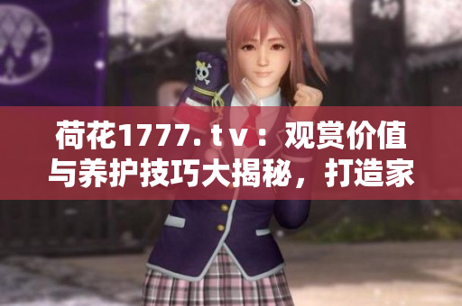 荷花1777. tⅴ：觀賞價(jià)值與養(yǎng)護(hù)技巧大揭秘，打造家居花園的絕佳選擇