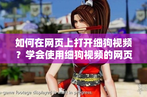 如何在網(wǎng)頁上打開細(xì)狗視頻？學(xué)會(huì)使用細(xì)狗視頻的網(wǎng)頁版功能