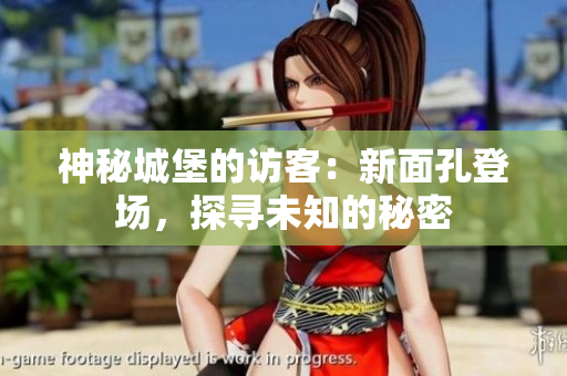 神秘城堡的訪(fǎng)客：新面孔登場(chǎng)，探尋未知的秘密