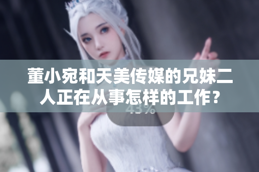 董小宛和天美傳媒的兄妹二人正在從事怎樣的工作？
