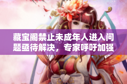 藏寶閣禁止未成年人進(jìn)入問(wèn)題亟待解決，專(zhuān)家呼吁加強(qiáng)監(jiān)管并設(shè)立有效年齡驗(yàn)證措施